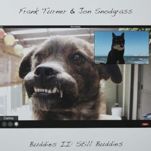 Buddies II: Still Buddies